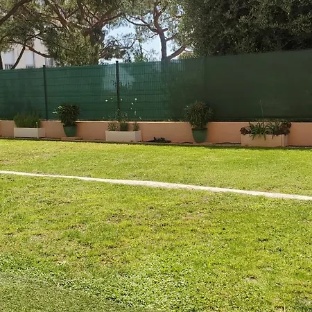 דירה Superbe Rez De Jardin Dans Au Calme